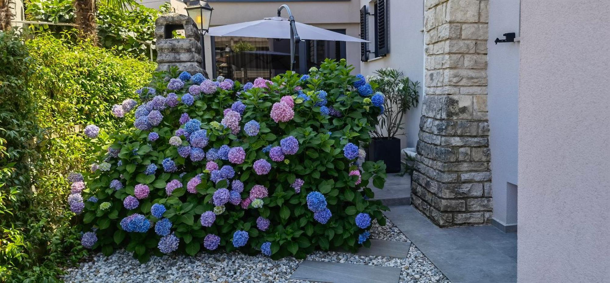 Stay In The Very Heart Of Porec - 50M To The Beach Exterior foto